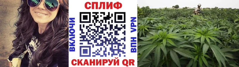 Продажа наркотиков Ардатов Альфа ПВП  ГАШИШ  Канабис  Кокаин 