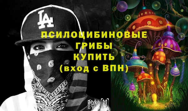 спайс Алзамай