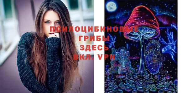 спайс Алзамай
