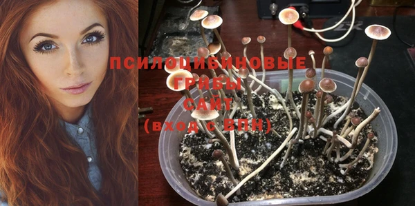 спайс Алзамай
