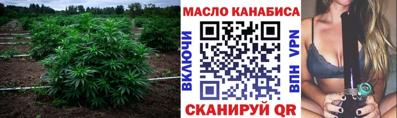 MEGA онион  что такое наркотик  Ардатов  Дистиллят ТГК THC oil 